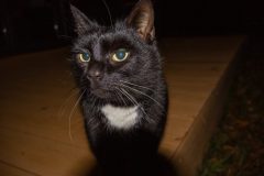 c63372bb-e567-4cd3-8b53-bb3683dedfd2